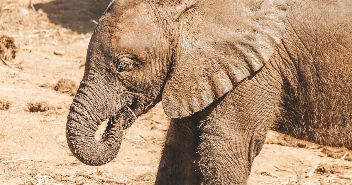 Conference Venues in Eastern Cape