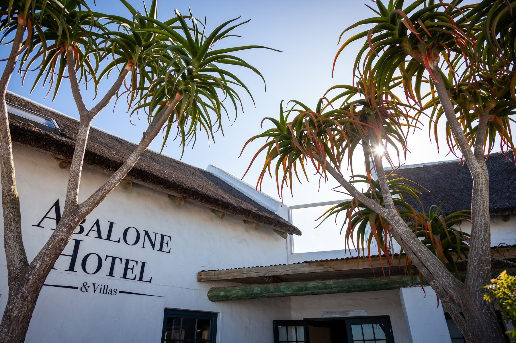 Abalone Boutique Hotel — photo 4