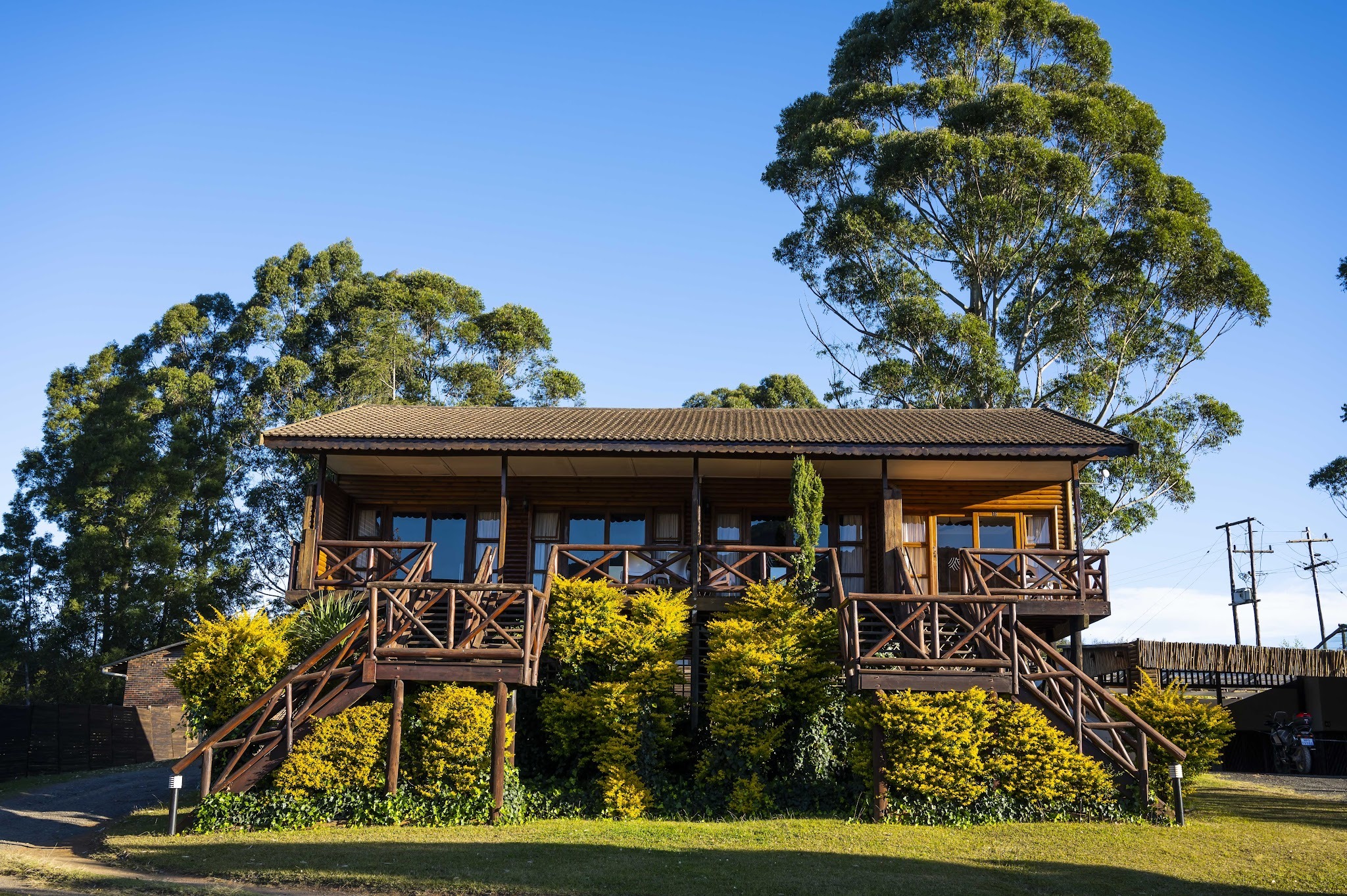 ANEW Resort Ingeli Forest — photo 3