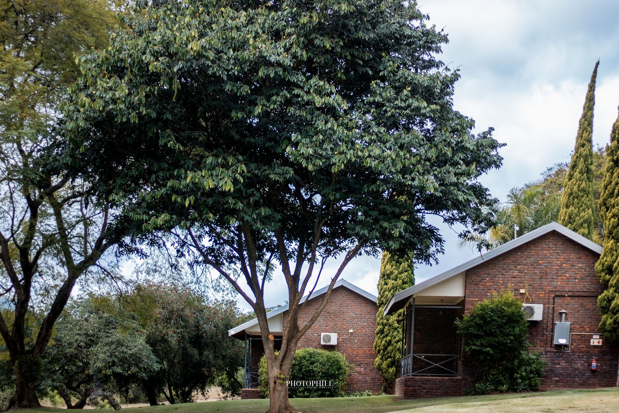 Avoca Vale Country Hotel — photo 3