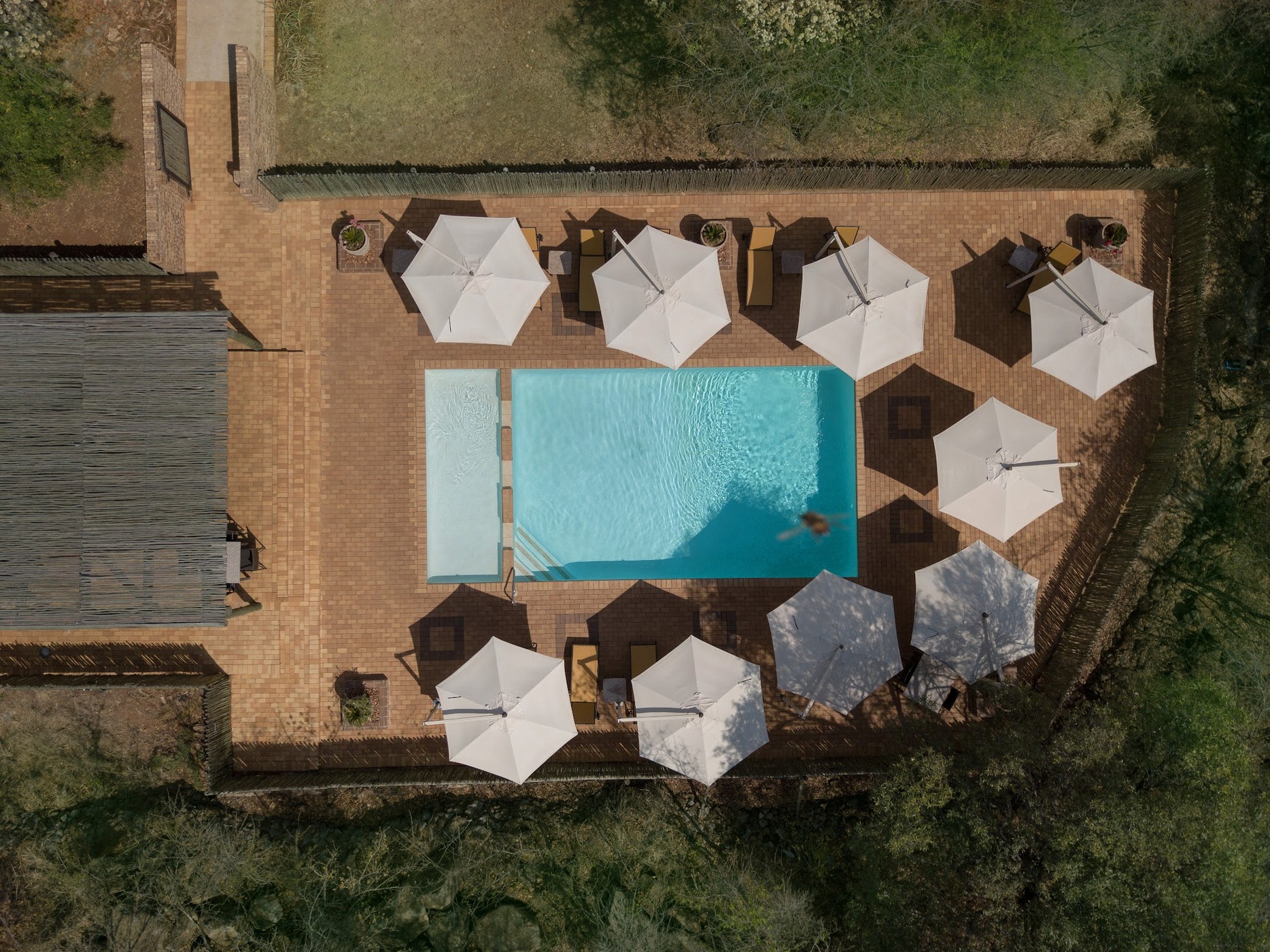 Bakubung Bush Lodge — photo 4