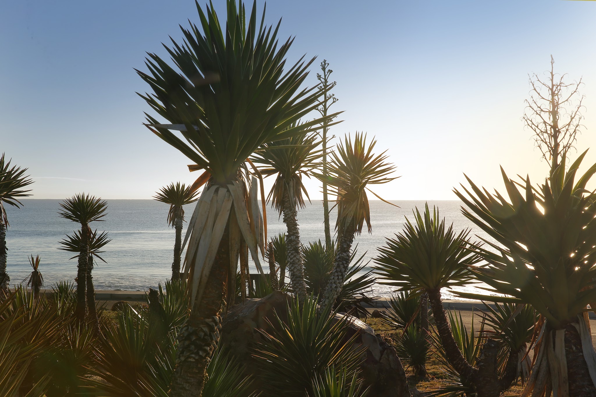 Beach Break — photo 3