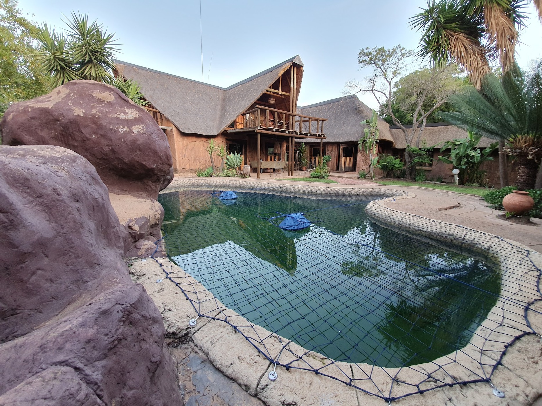 Blommelot Bush Lodge — photo 2