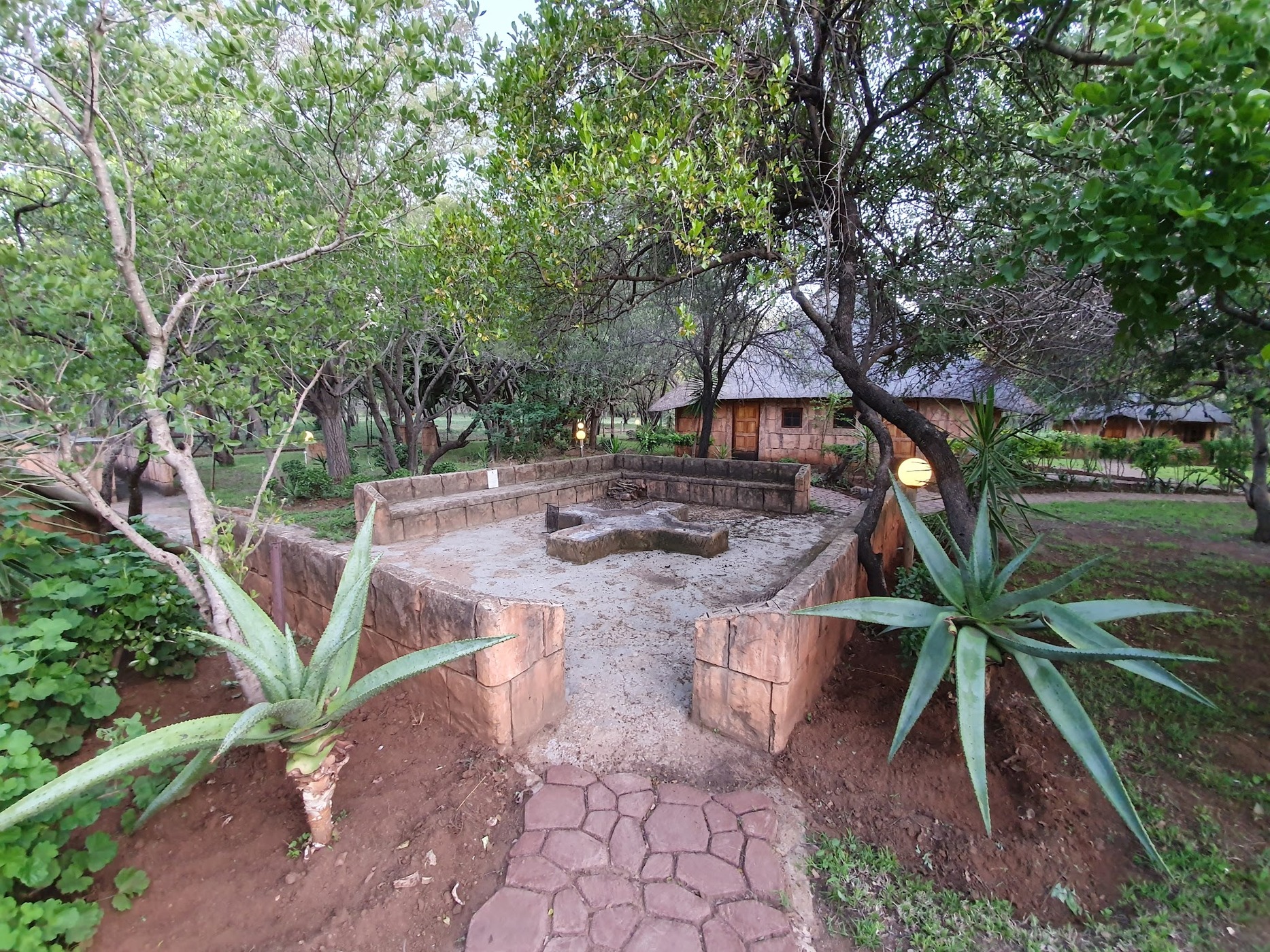 Blommelot Bush Lodge — photo 3