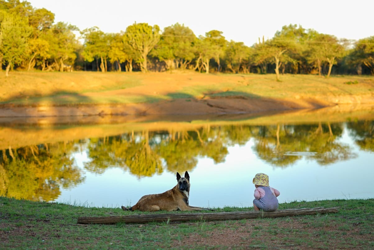 Blommelot Bush Lodge — photo 5