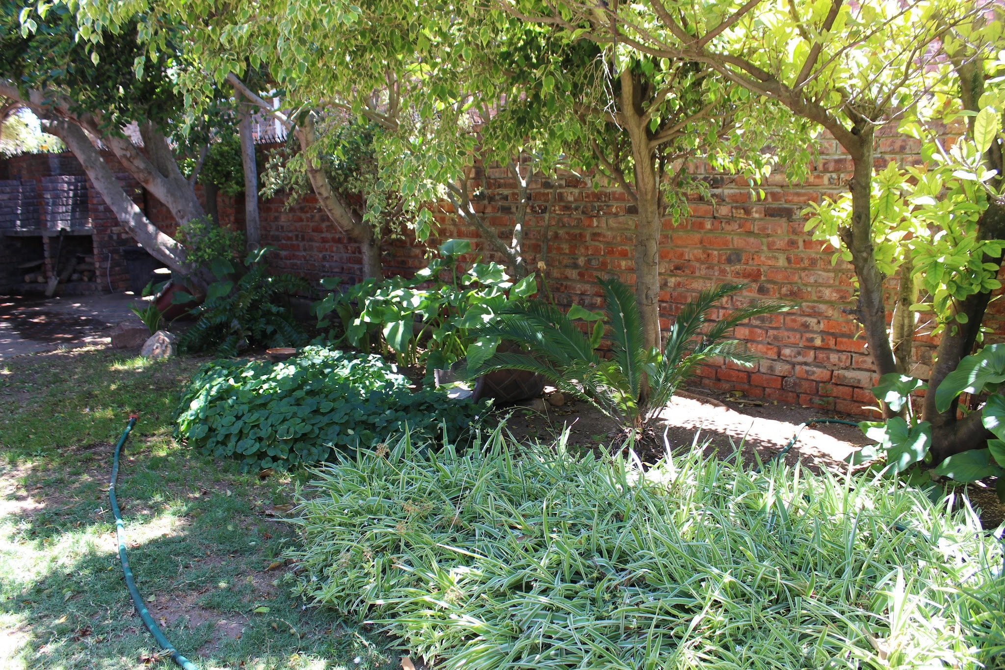 Bluewater Beachfront Guest House — photo 2