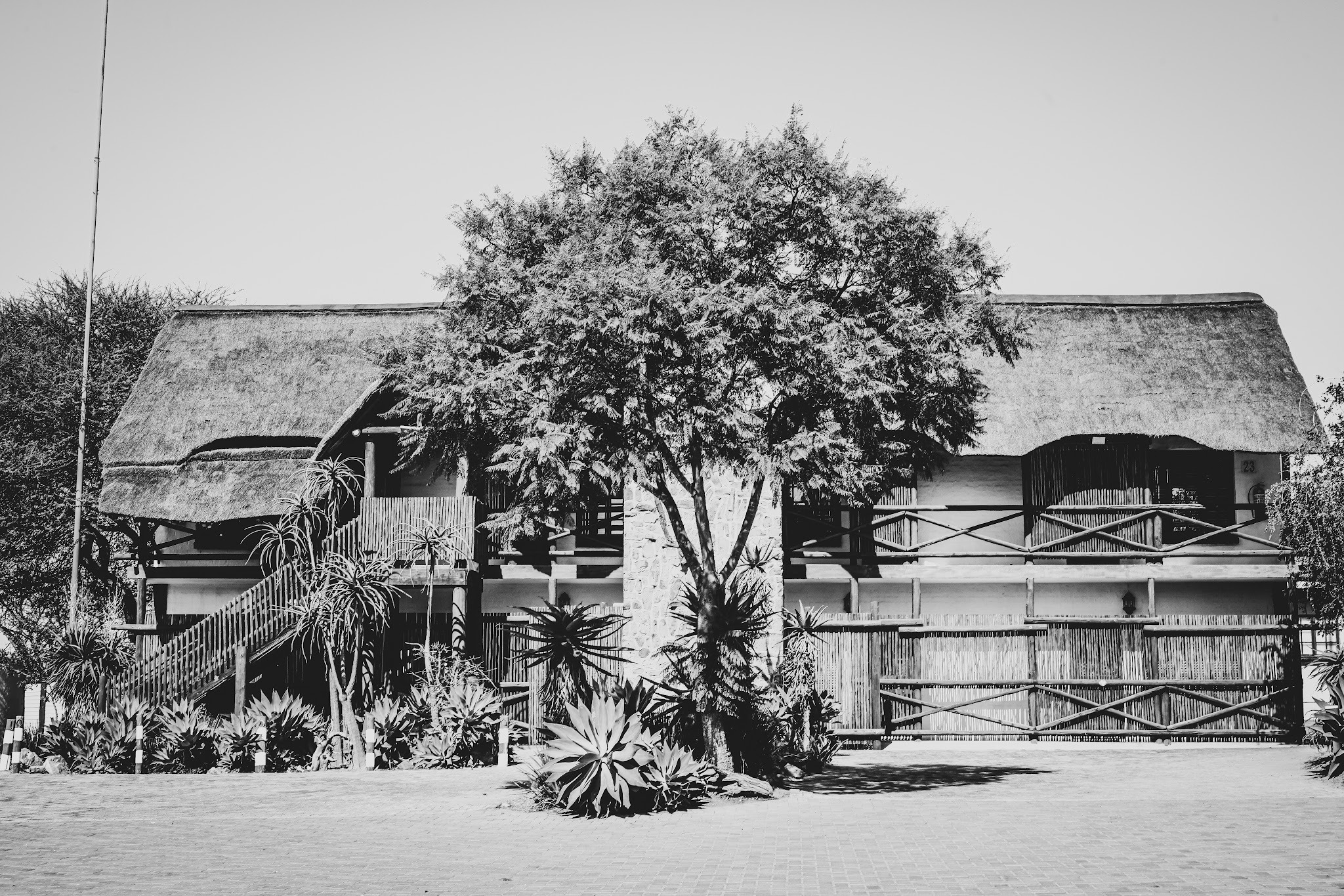 Bolivia Lodge — photo 3