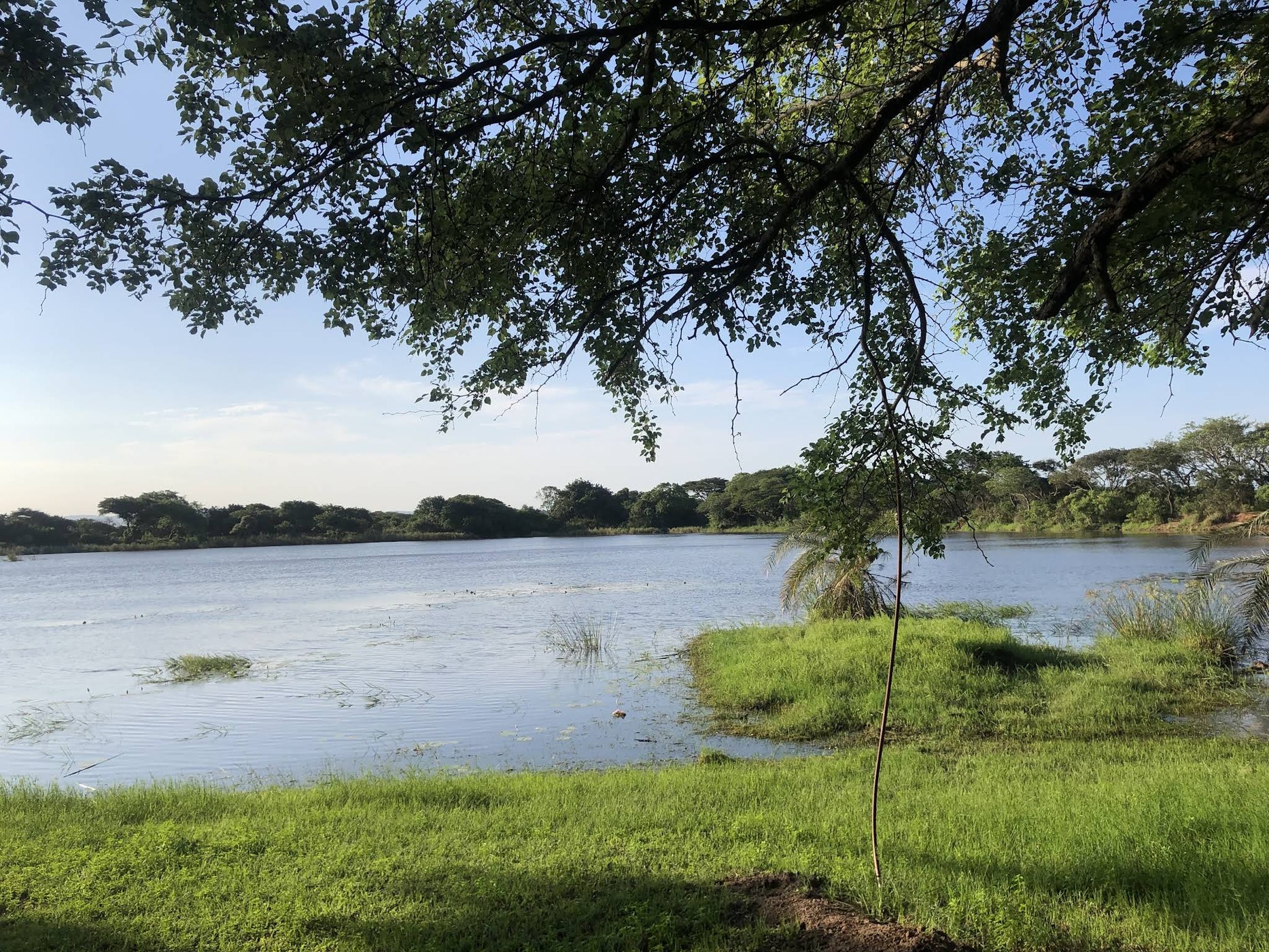 Bonamanzi Game Park — photo 2