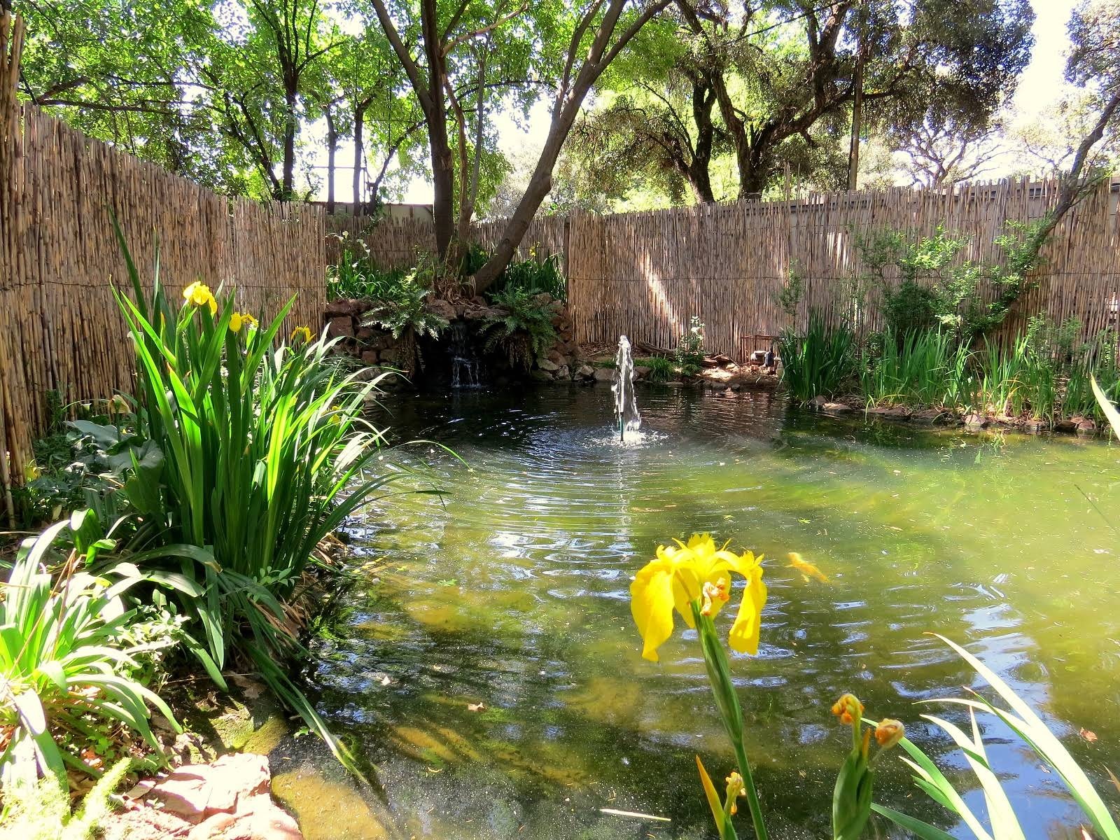 Bordeaux Haven Guest House — photo 2