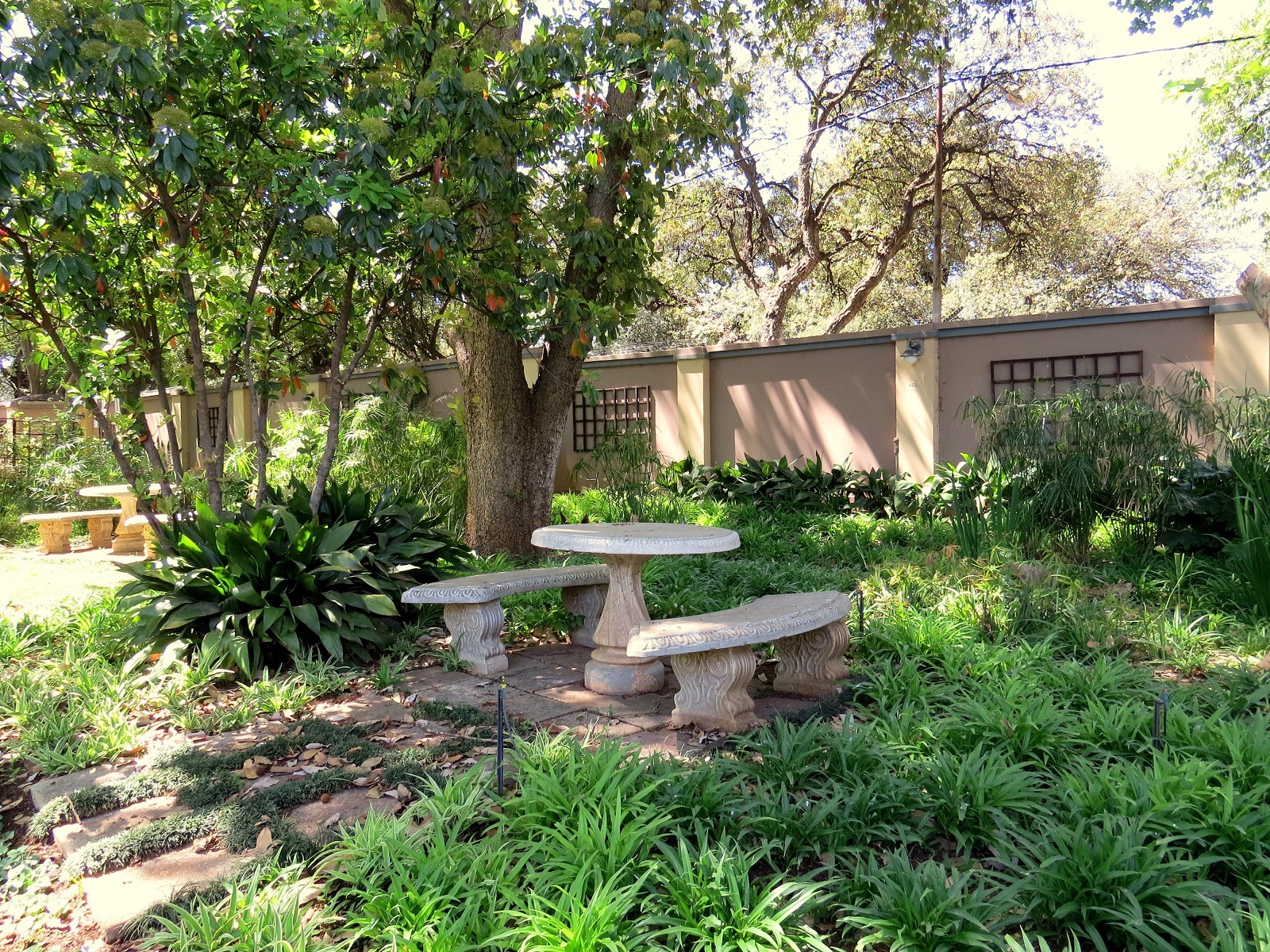 Bordeaux Haven Guest House — photo 4