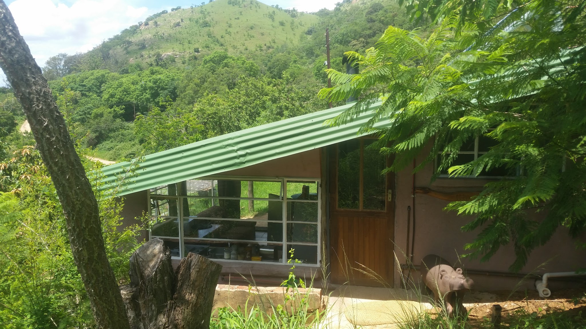 Bushwhacked Barberton Accommodation — photo 2