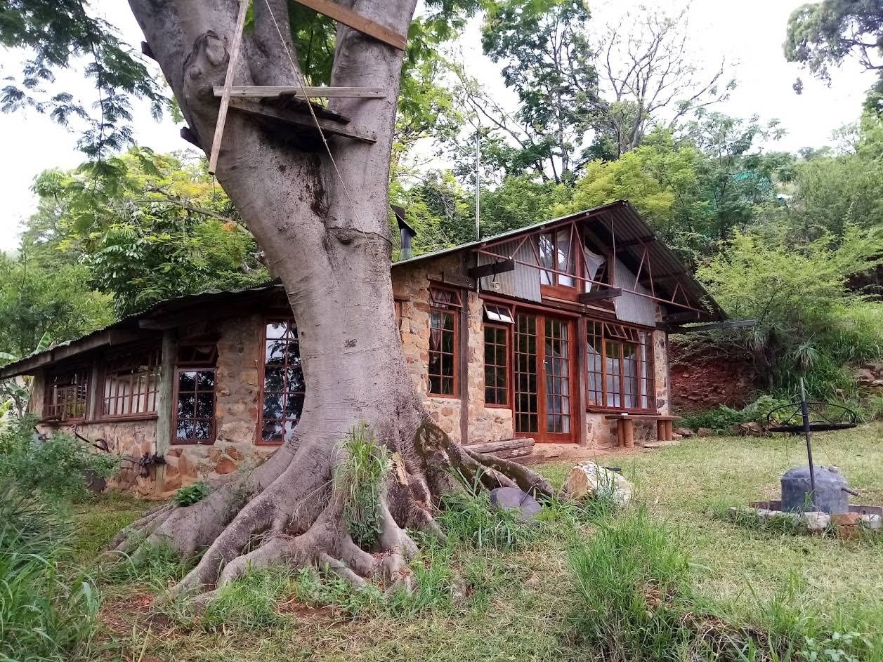 Bushwhacked Barberton Accommodation — photo 3