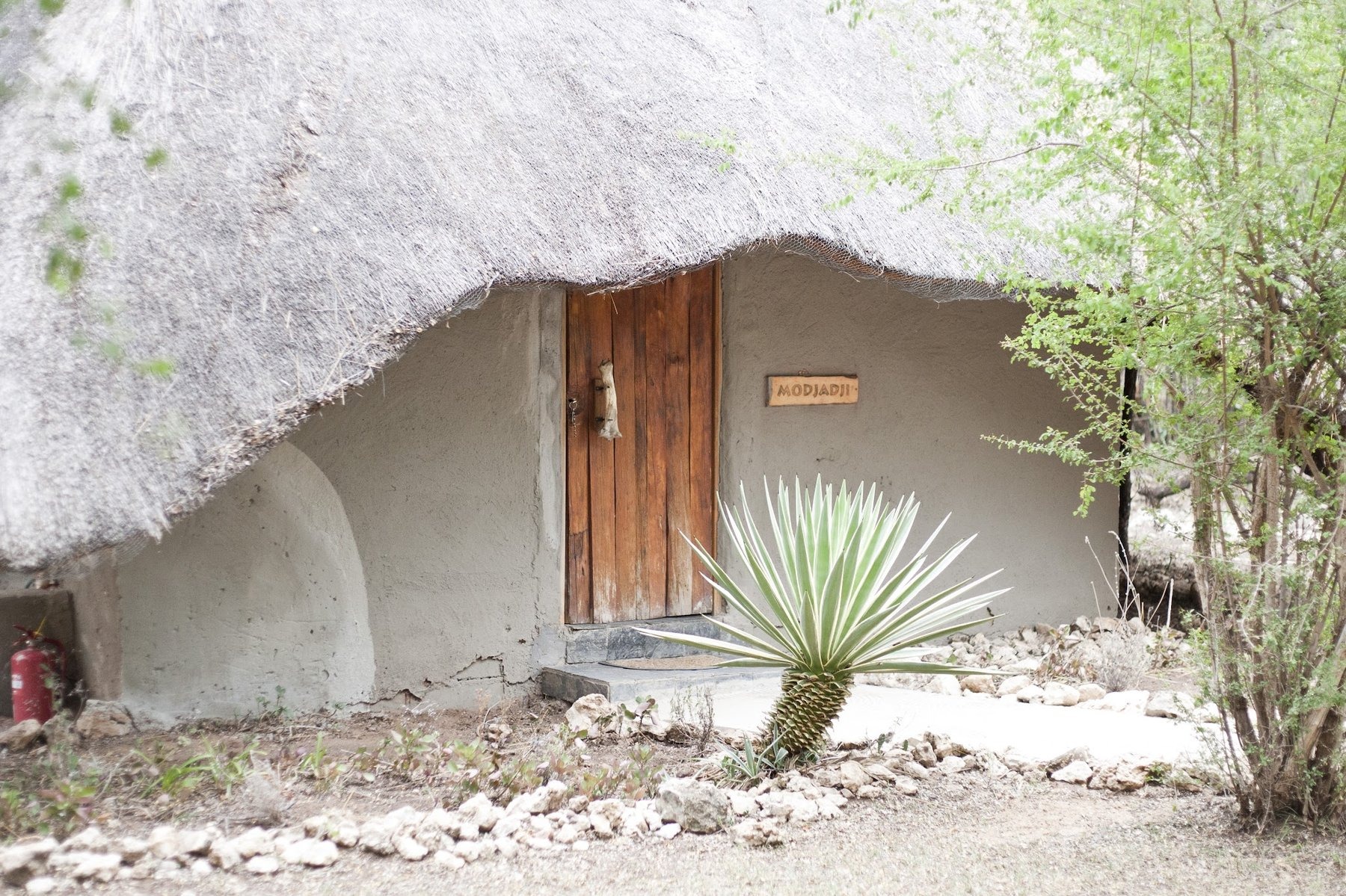 Chinaka Game Lodge — photo 5