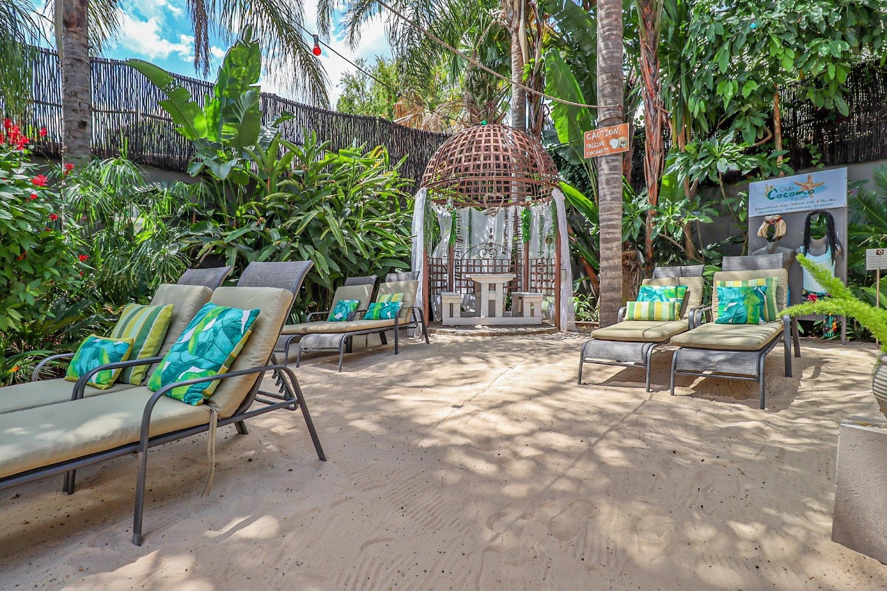 Club Cocomo — photo 2