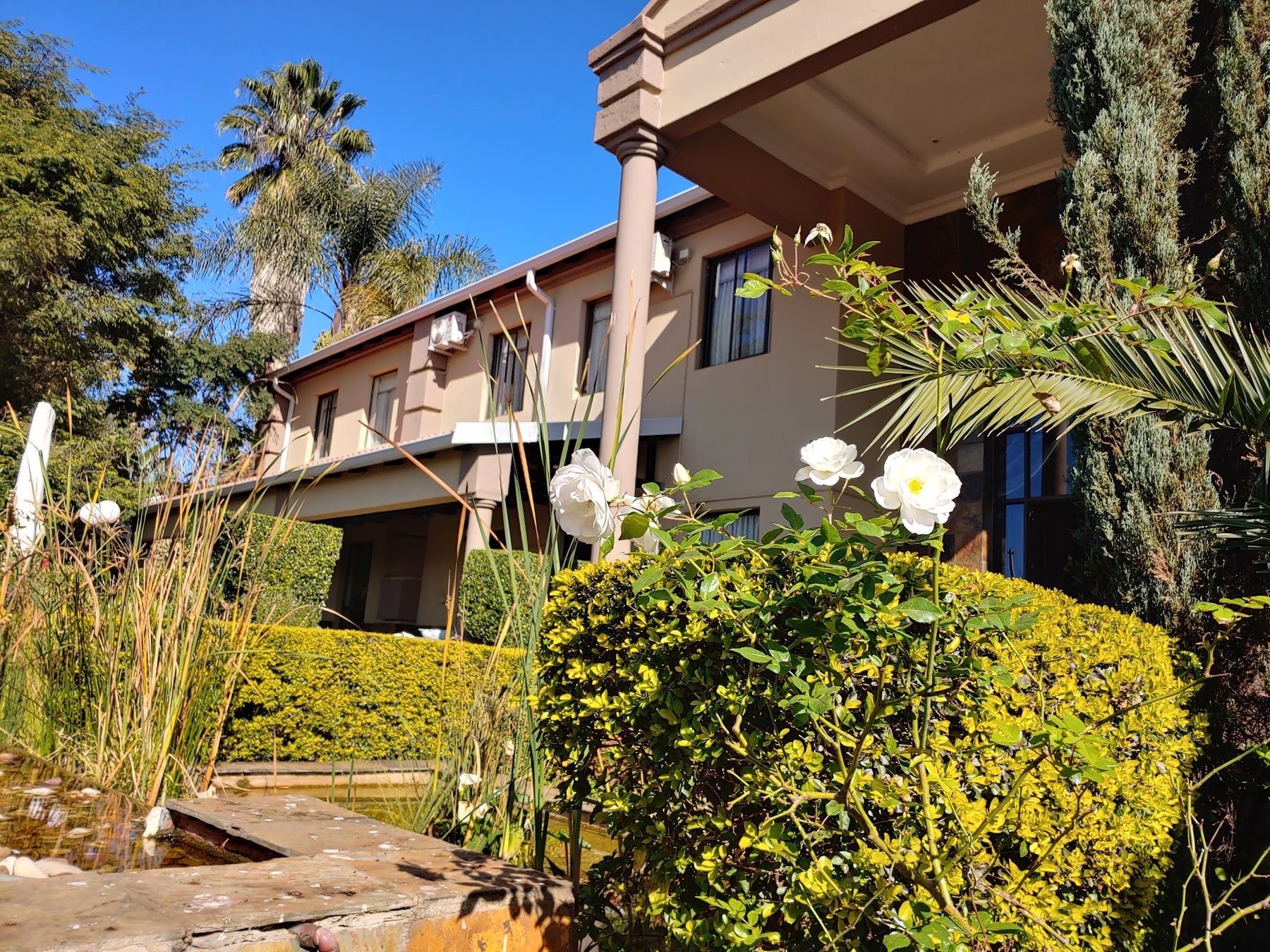 Constantia Manor Guesthouse — photo 2