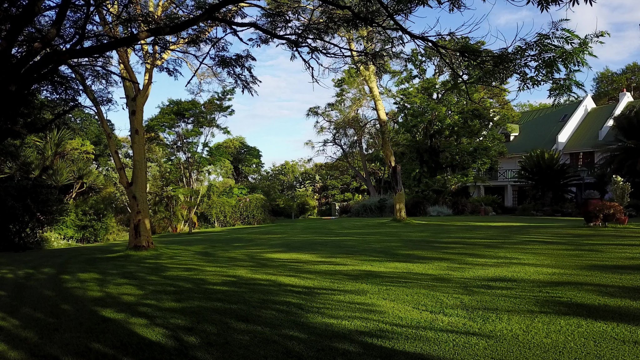 Cuckoo's Nest Guest House — photo 3