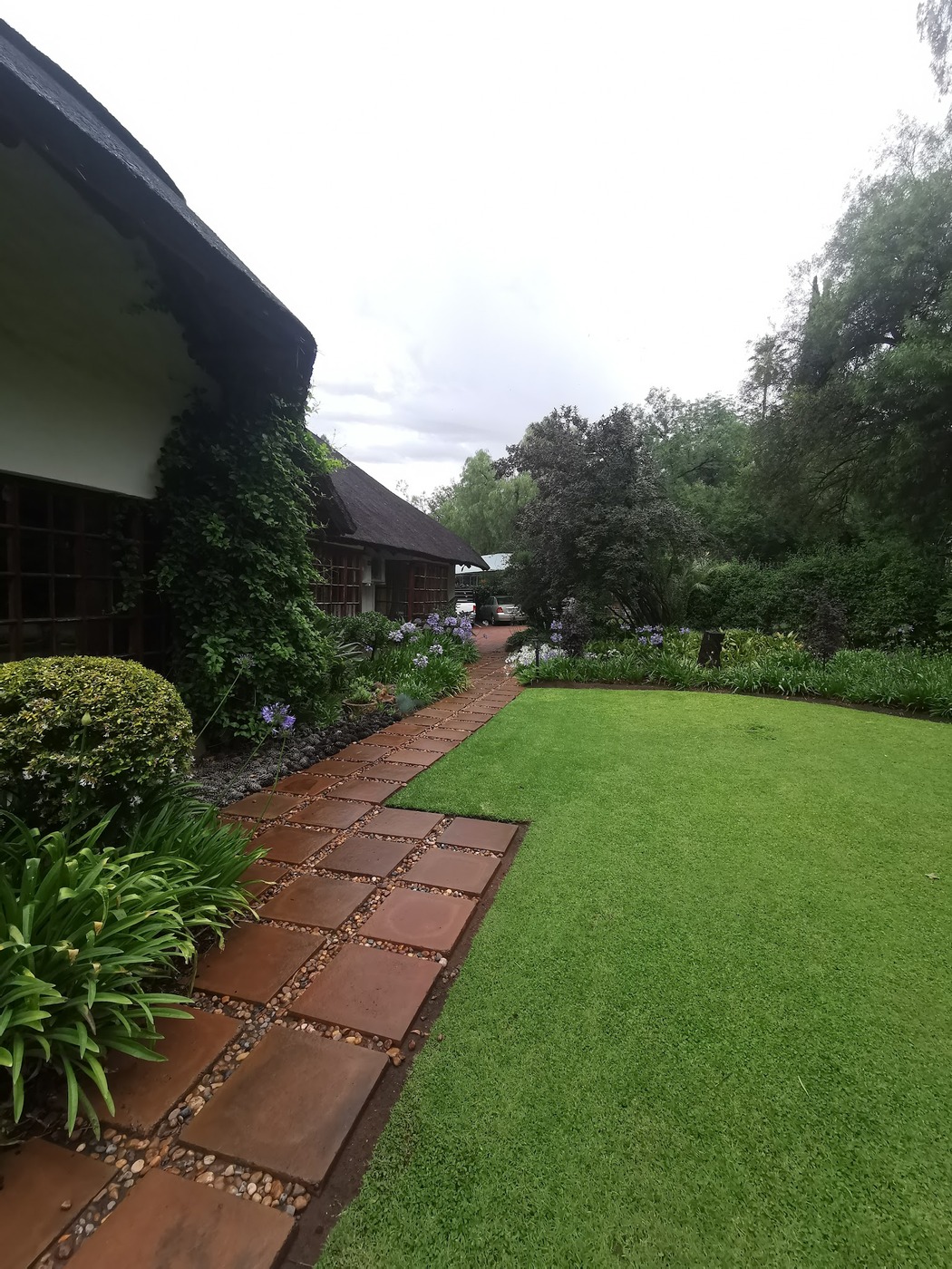 De Witt'e Guest House — photo 3