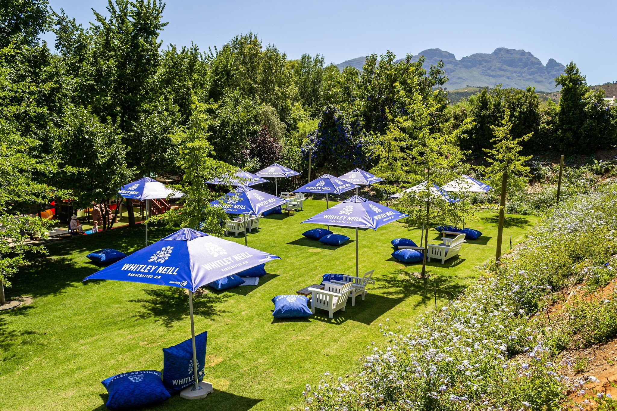 Devonvale Golf & Wine Estate — photo 2