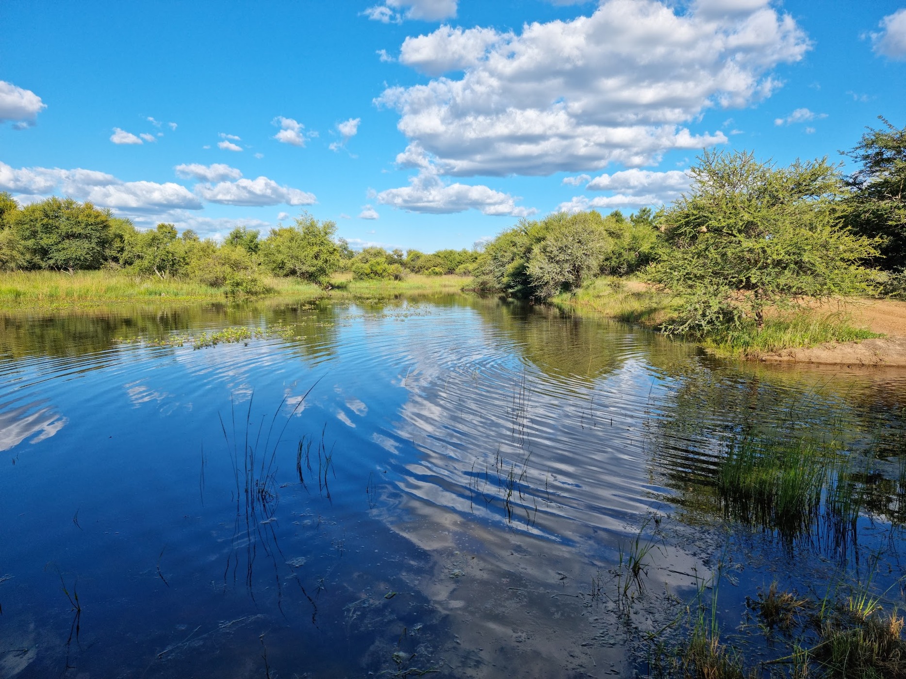 Die Boer en die Belg — photo 2