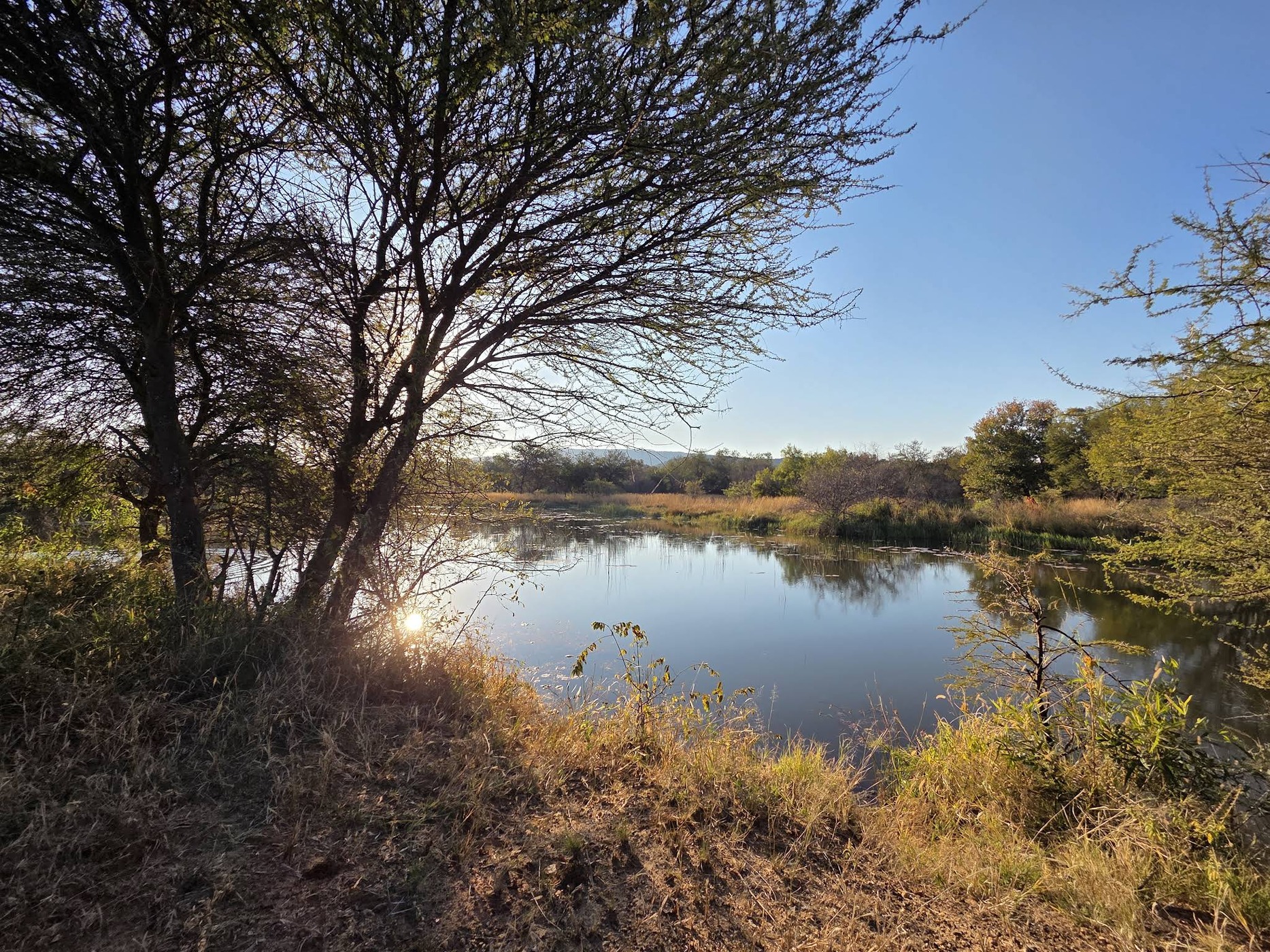 Die Boer en die Belg — photo 5
