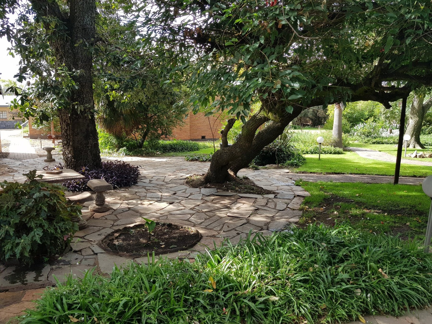 Die Groen Koei Guesthouse — photo 2