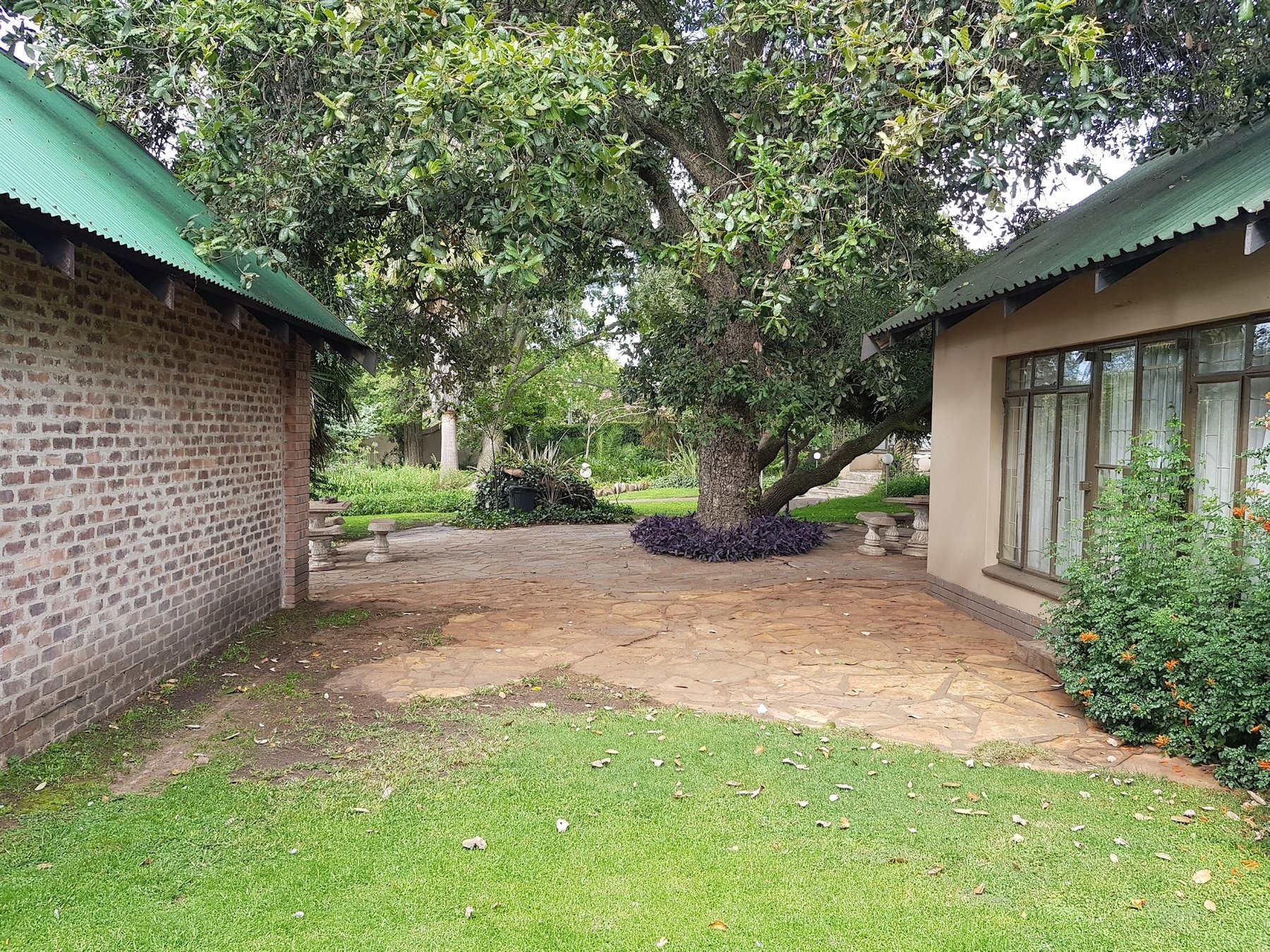 Die Groen Koei Guesthouse — photo 3