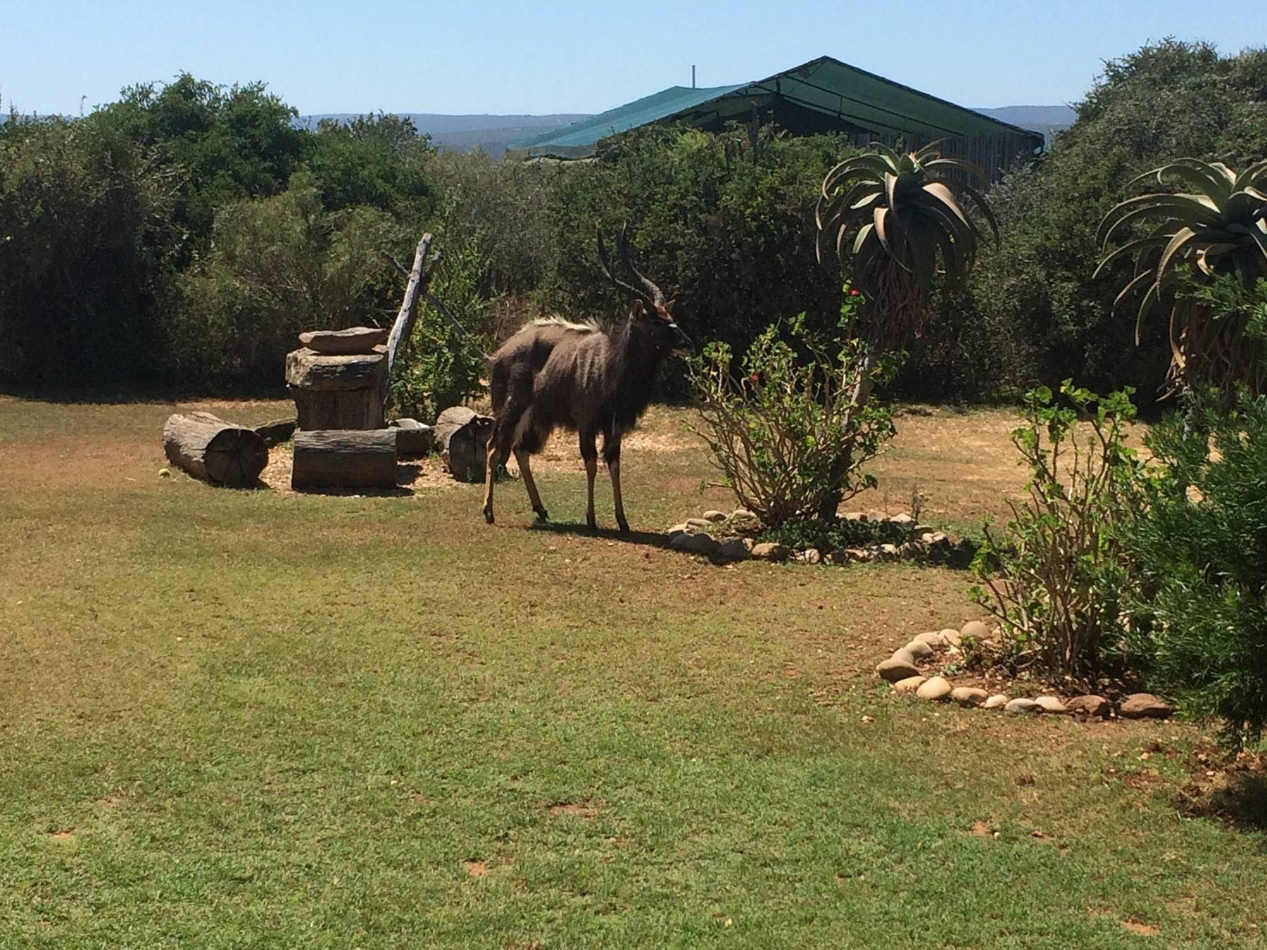 East Cape Game Lodge & Conference — photo 5