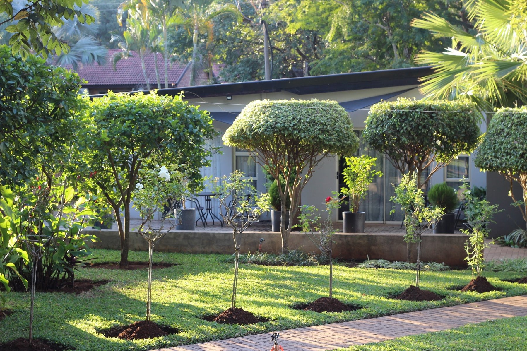 Ecolux Boutique Hotel — photo 2