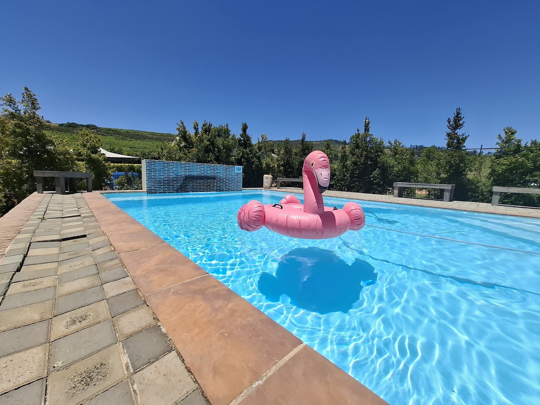 Eikenhof Estate Venue — photo 2