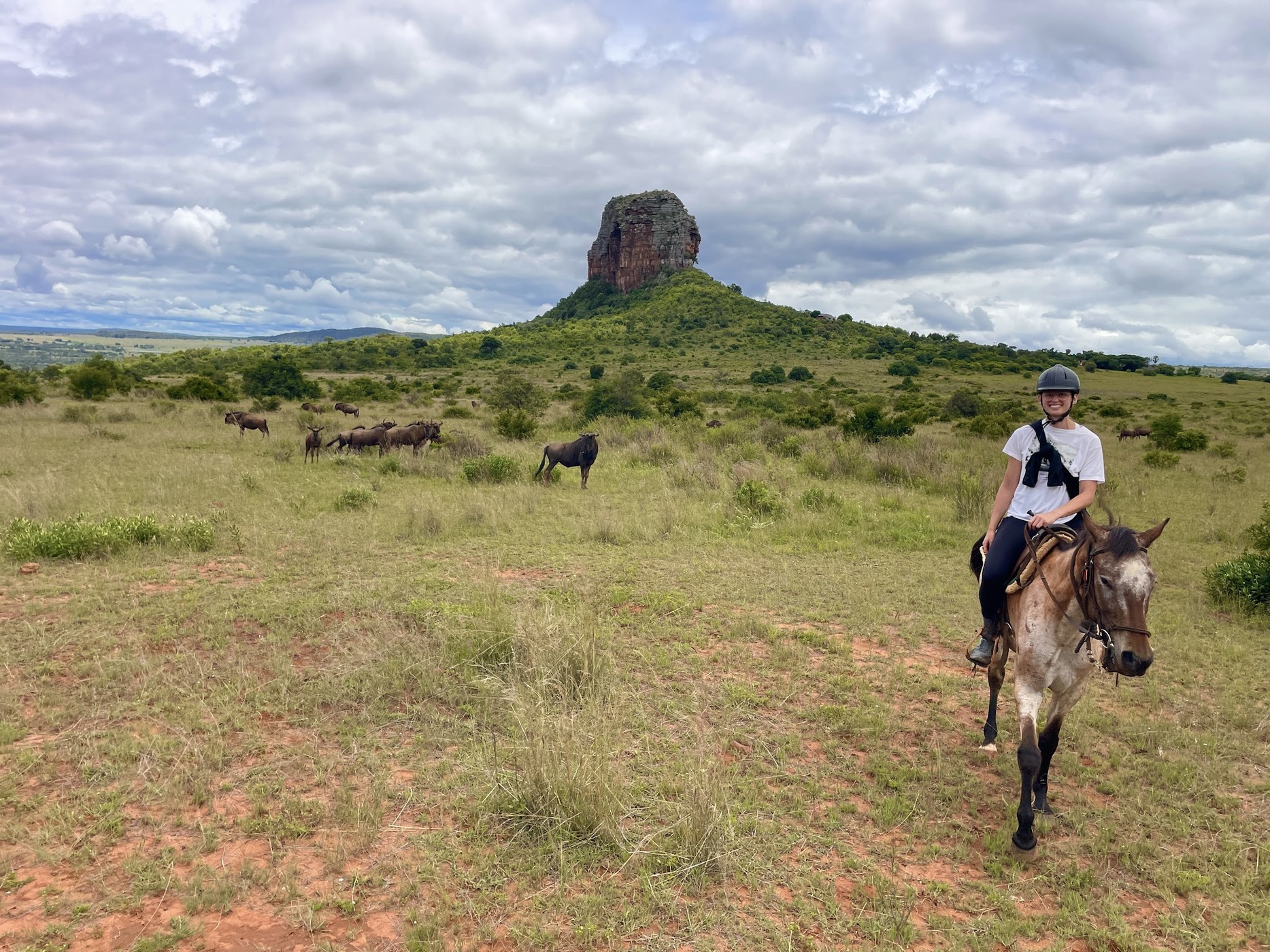 Entabeni Safari Conservancy — photo 2