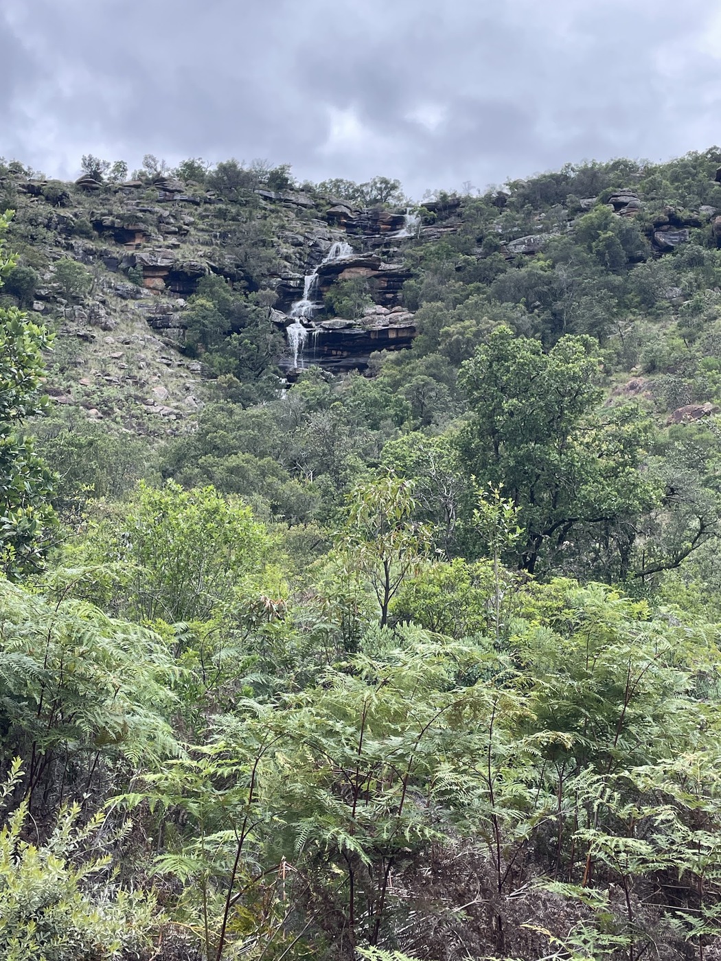 Entabeni Safari Conservancy — photo 5