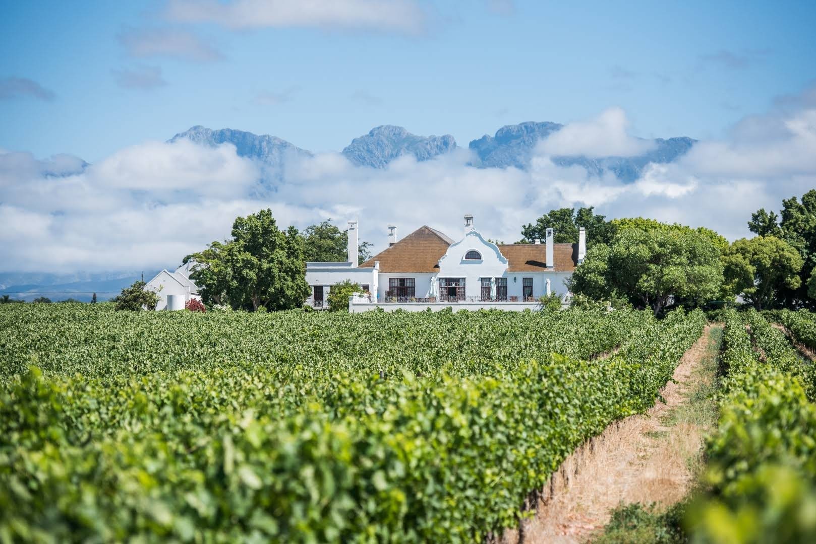 Excelsior Manor Guesthouse — photo 2