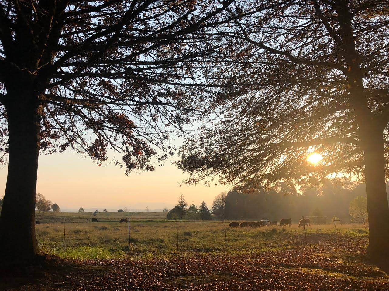 Fordoun Spa & Boutique Hotel — photo 2