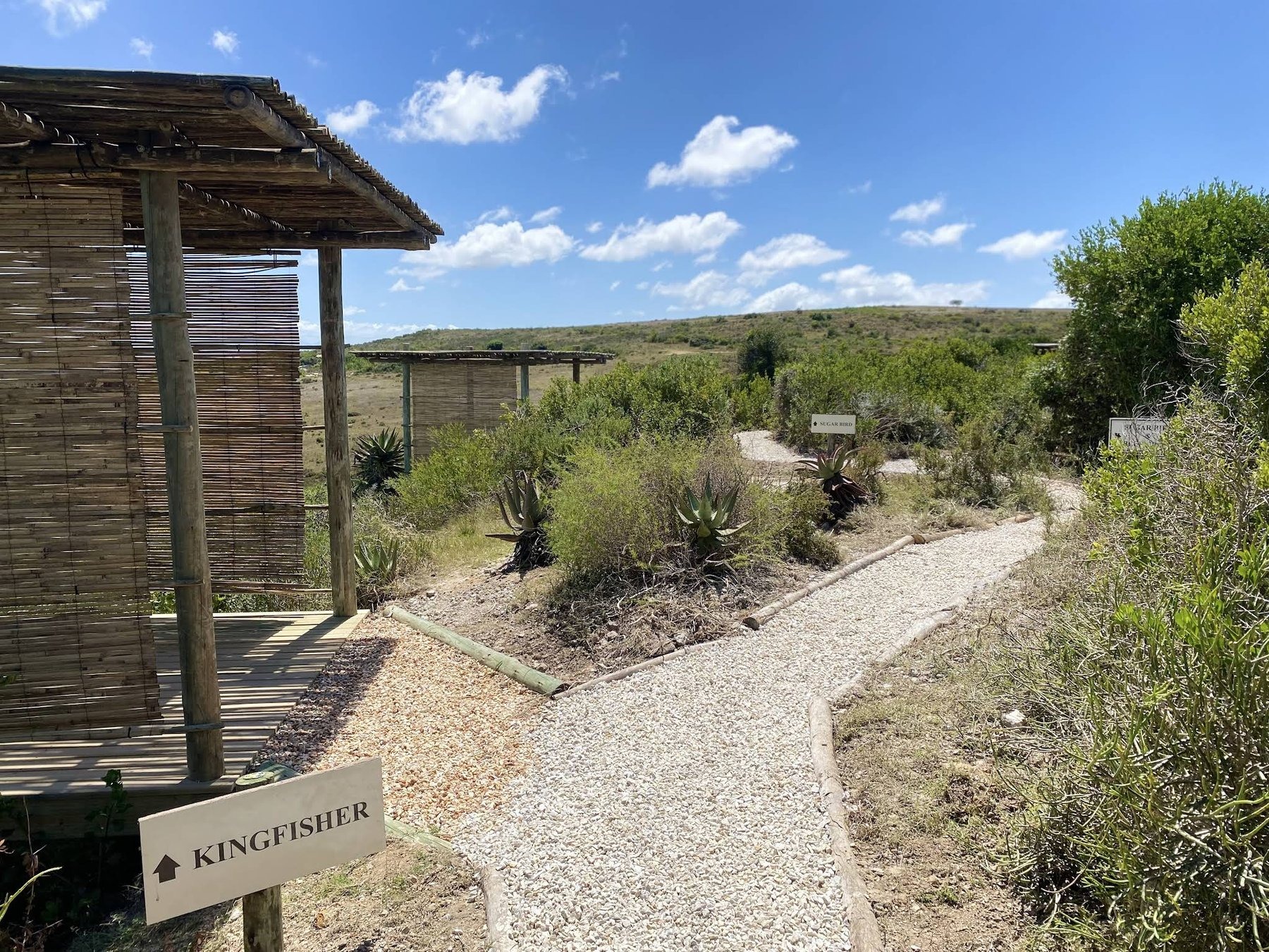 Garden Route Game Lodge — photo 3