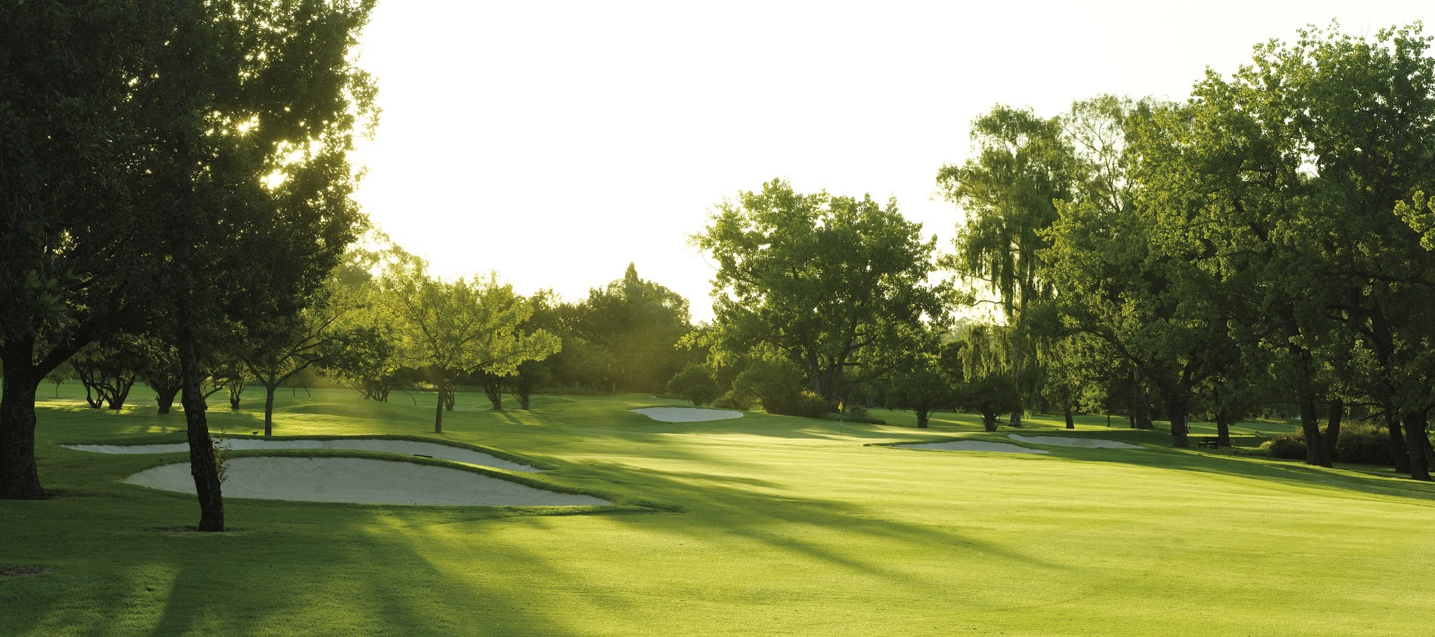 Glendower Golf Club — photo 5