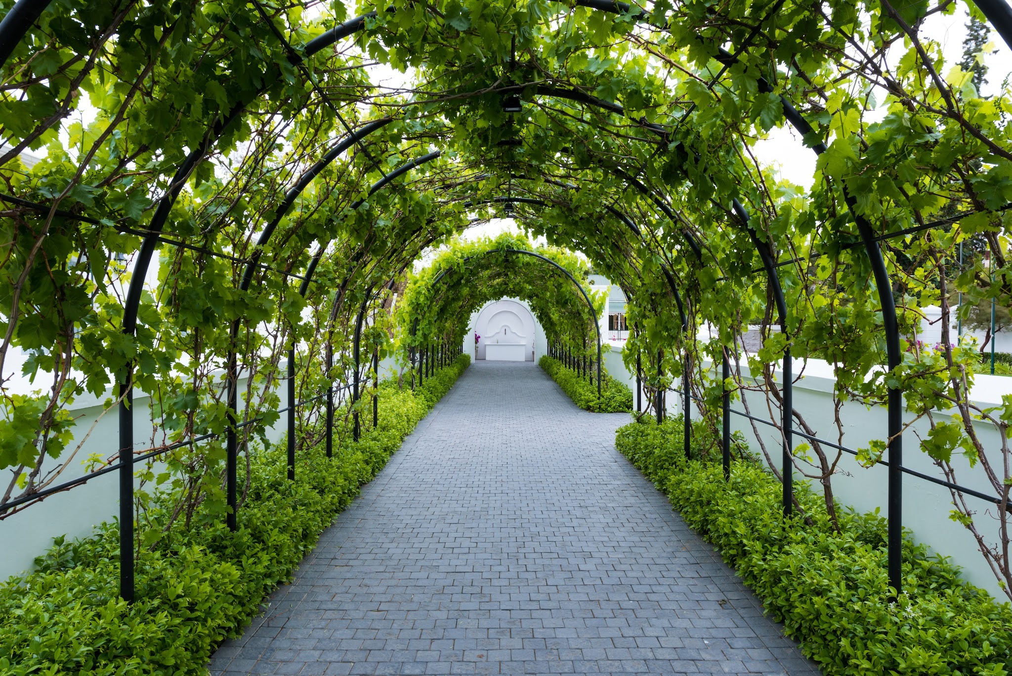 Graaff-Reinet Hotel & Conference — photo 5