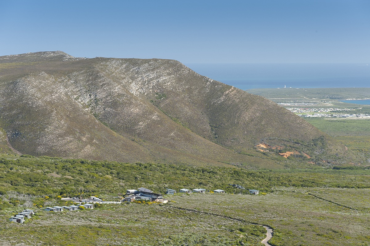 Grootbos Private Nature Reserve — photo 3