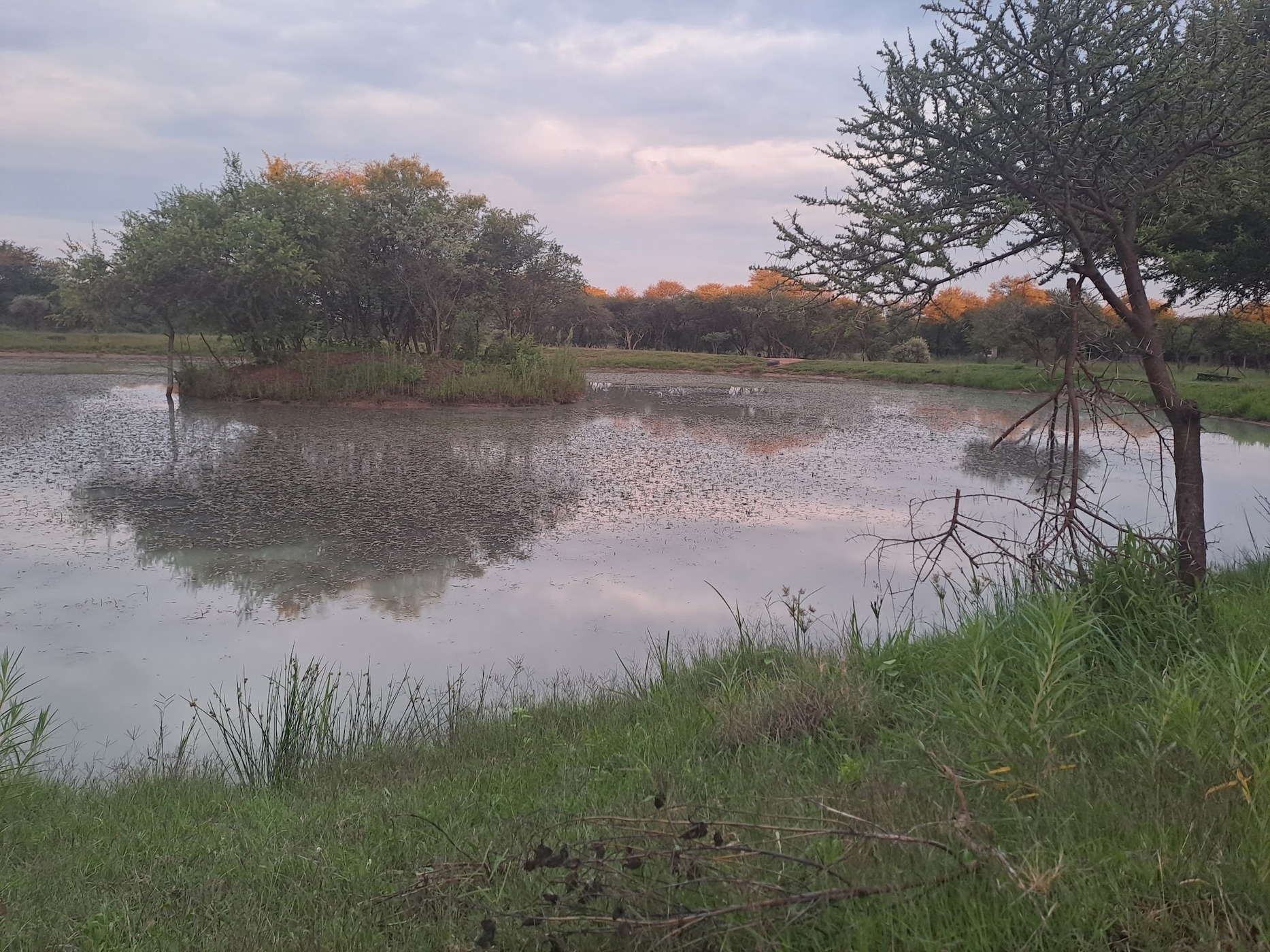 Grootgeluk Bush Camp — photo 2
