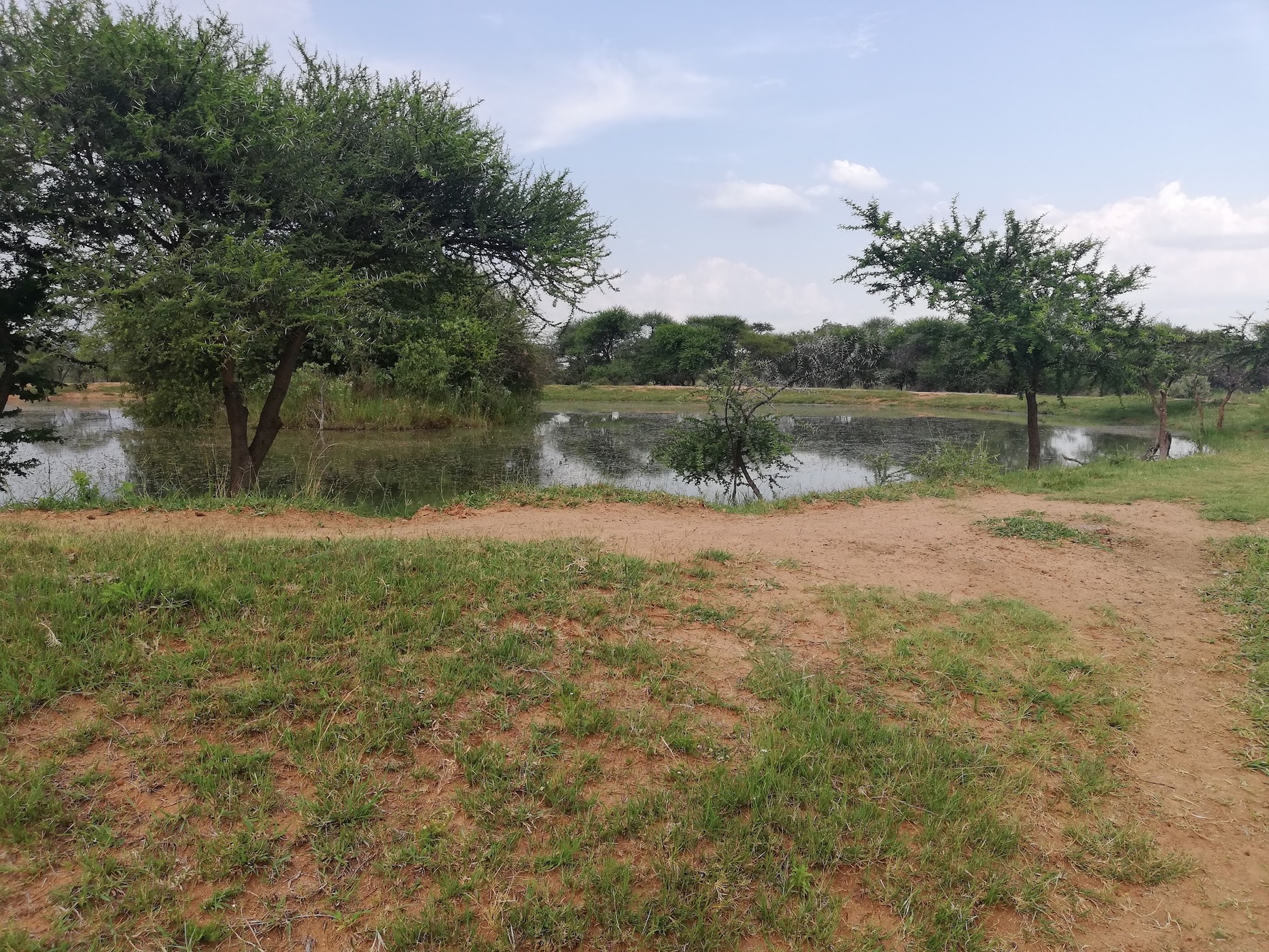 Grootgeluk Bush Camp — photo 4