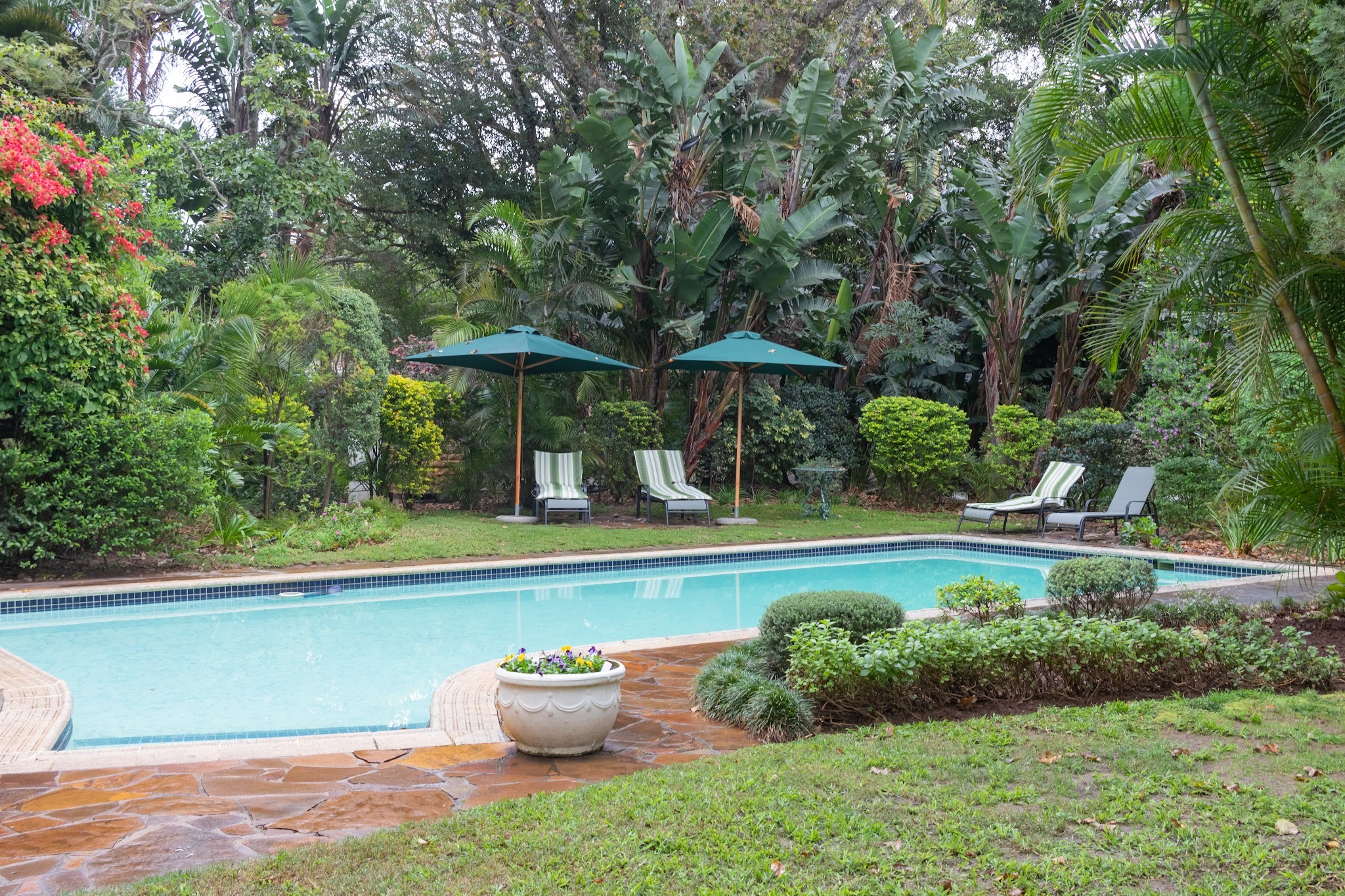 Hacklewood Hill Country House — photo 2