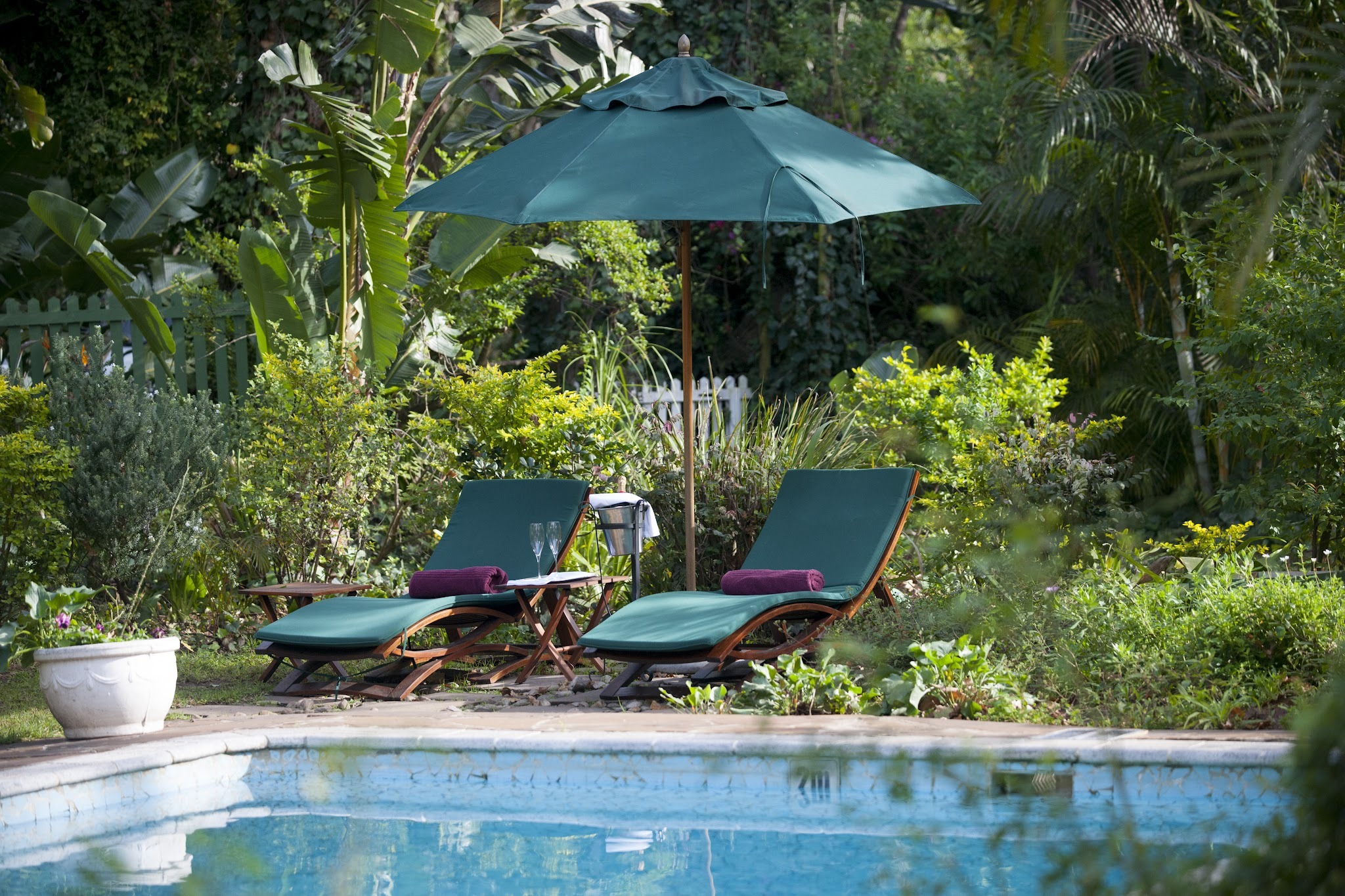 Hacklewood Hill Country House — photo 5