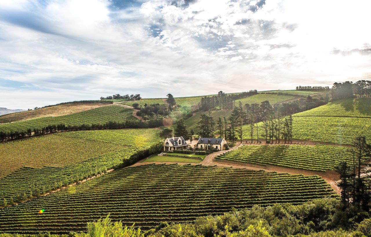 Highberry Boutique Venue & Vineyard — photo 2