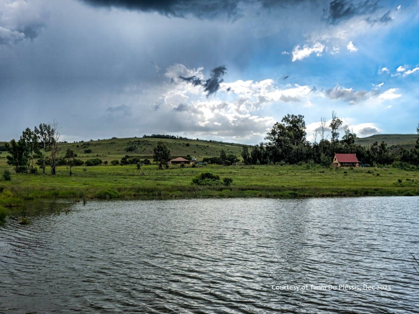 Highland Giants — photo 2