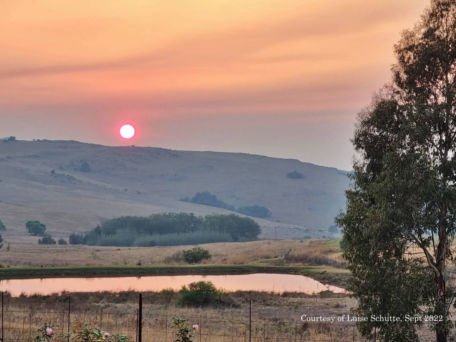 Highland Giants — photo 5