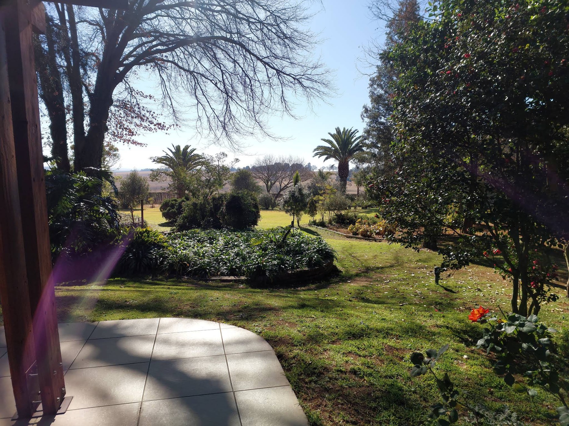 Highveld Splendour Boutique Bed & Breakfast — photo 3