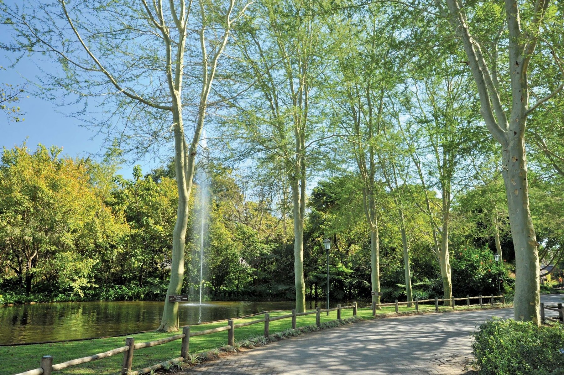 Hippo Hollow Country Estate — photo 2