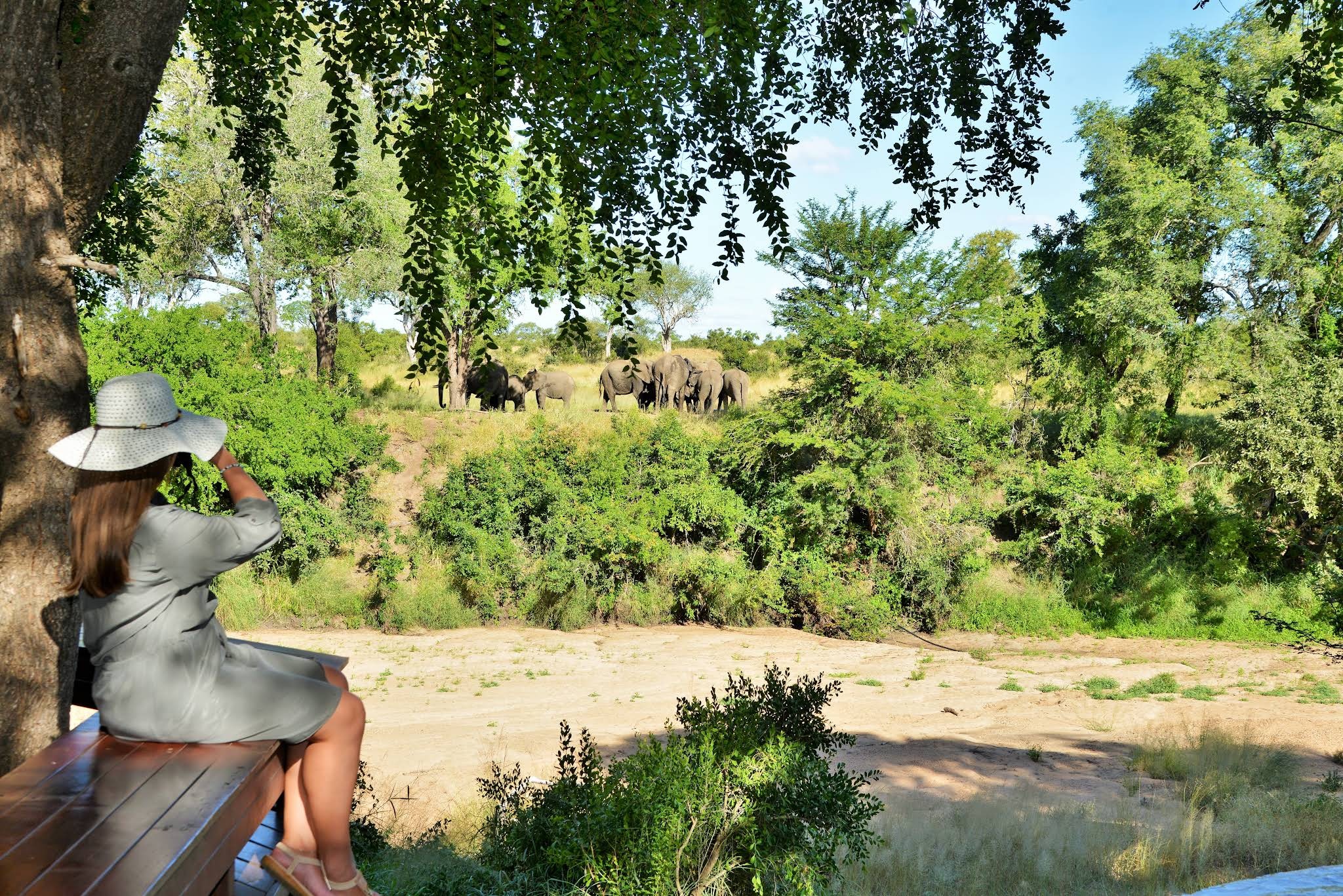 Imbali Safari Lodge — photo 2