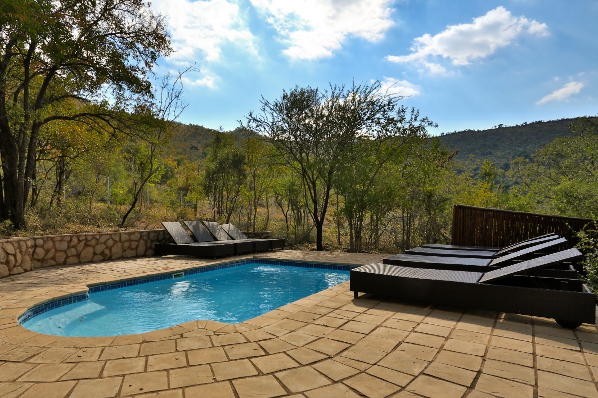 Ivory Tree Game Lodge — photo 2