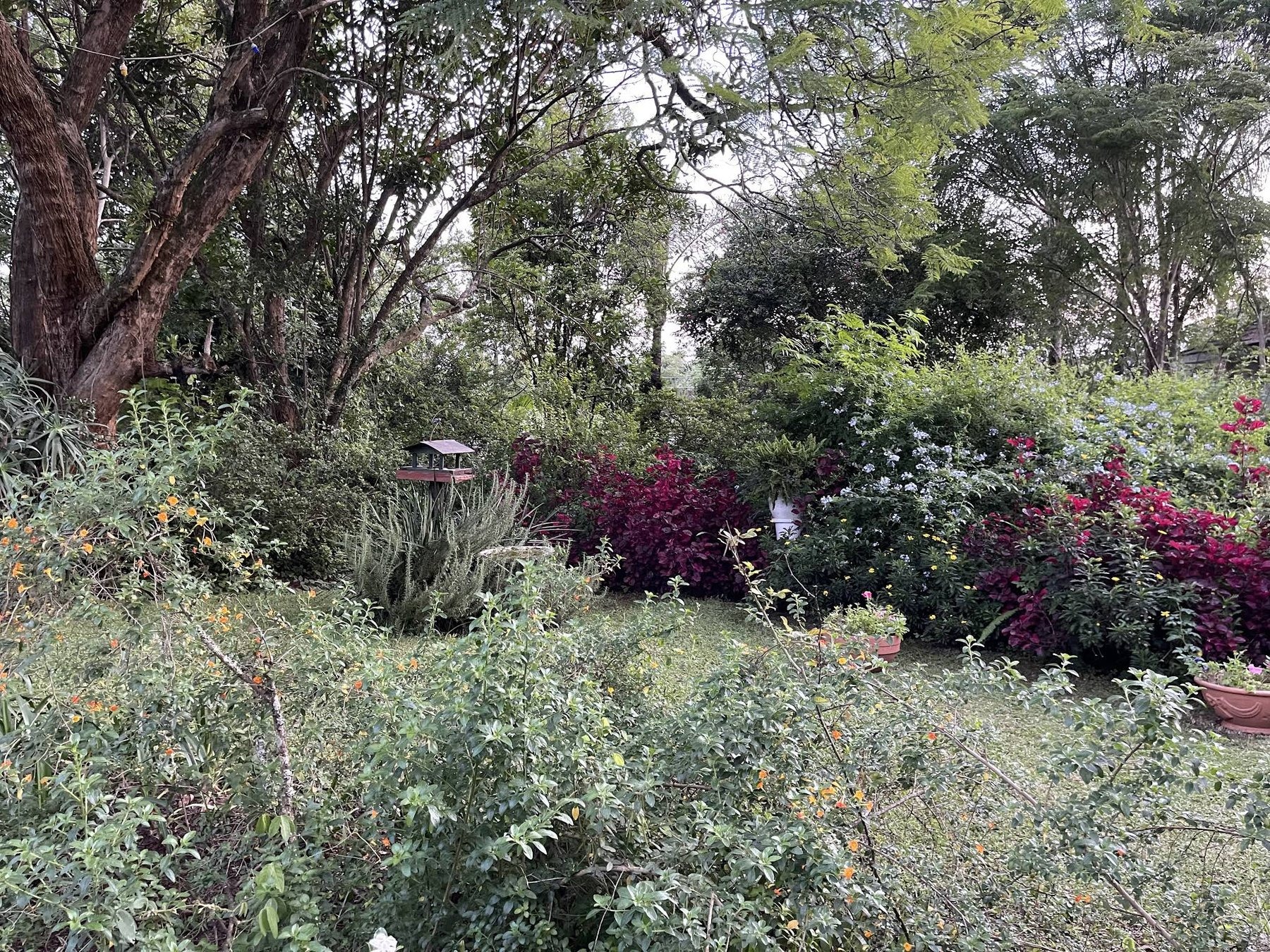 Karula Hotel — photo 5