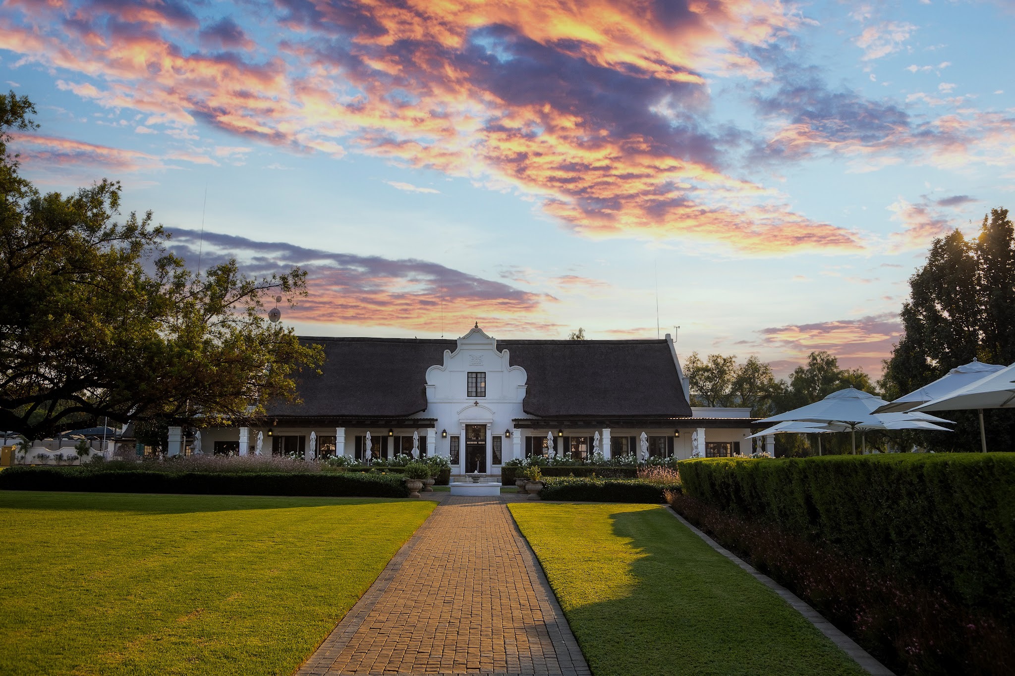 Kievits Kroon Gauteng Wine Estate — photo 5